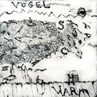 vogel-schwarm